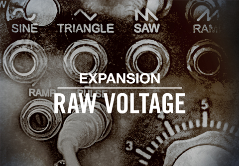 Native Instruments Raw Voltage